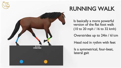 a to z horses running today|ABC Guide of Runners .